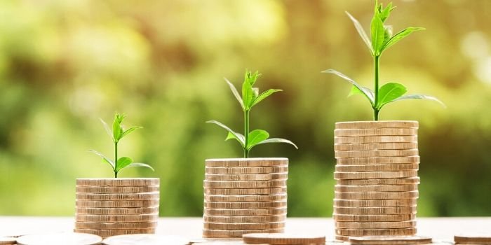 Ile firm ma zatwierdzoną taryfę na energię elektryczną?