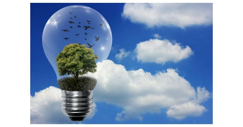 Energii odnawialnej w umowach PPA wystarczyłoby dla całej Francji
