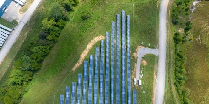 Risen Energy podłączyła do sieci pierwszej wielkoskalowej naziemnej elektrowni PV