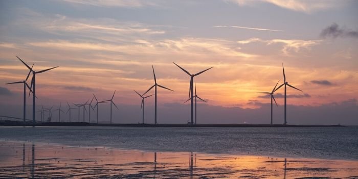 Największa pływająca farma wiatrowa koncernu Total