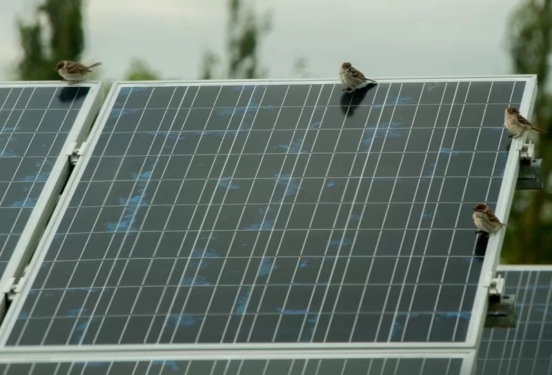 Ponad 66 tys. mikroinstalacji w sieci Energi Operatora