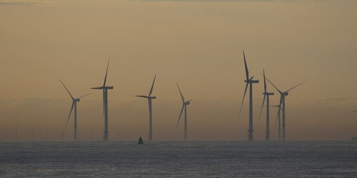 Studia podyplomowe na PG Morska Energetyka Wiatrowa