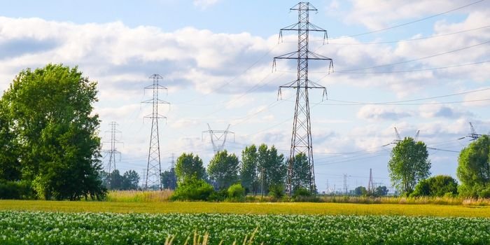 Energa Operator wzmacnia sieć elektroenergetyczną