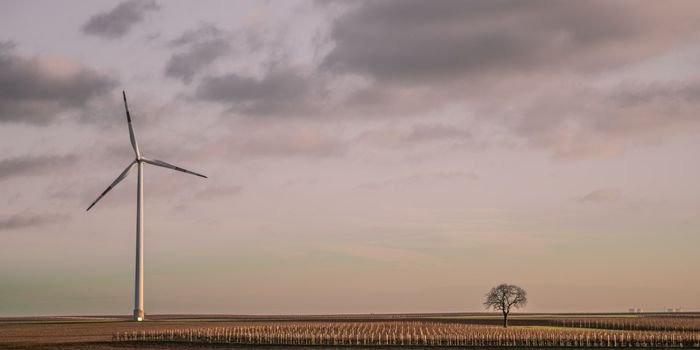 Ceny energii wiatrowej i słonecznej coraz niższe