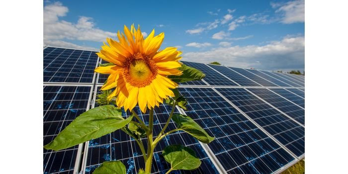 Energa zwiększa potencjał przyłączeniowy dla OZE