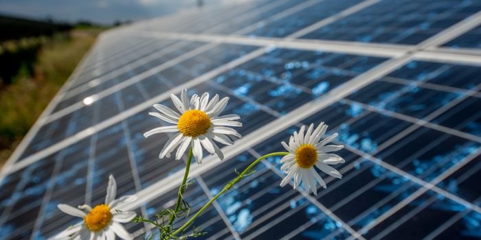 Kolejne instalacje fotowoltaiczne przyłączone przez Energę