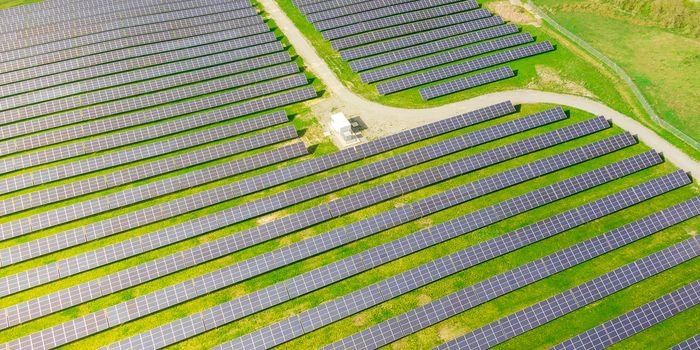 BP zainwestuje 500 mln euro w fotowoltaikę w Polsce