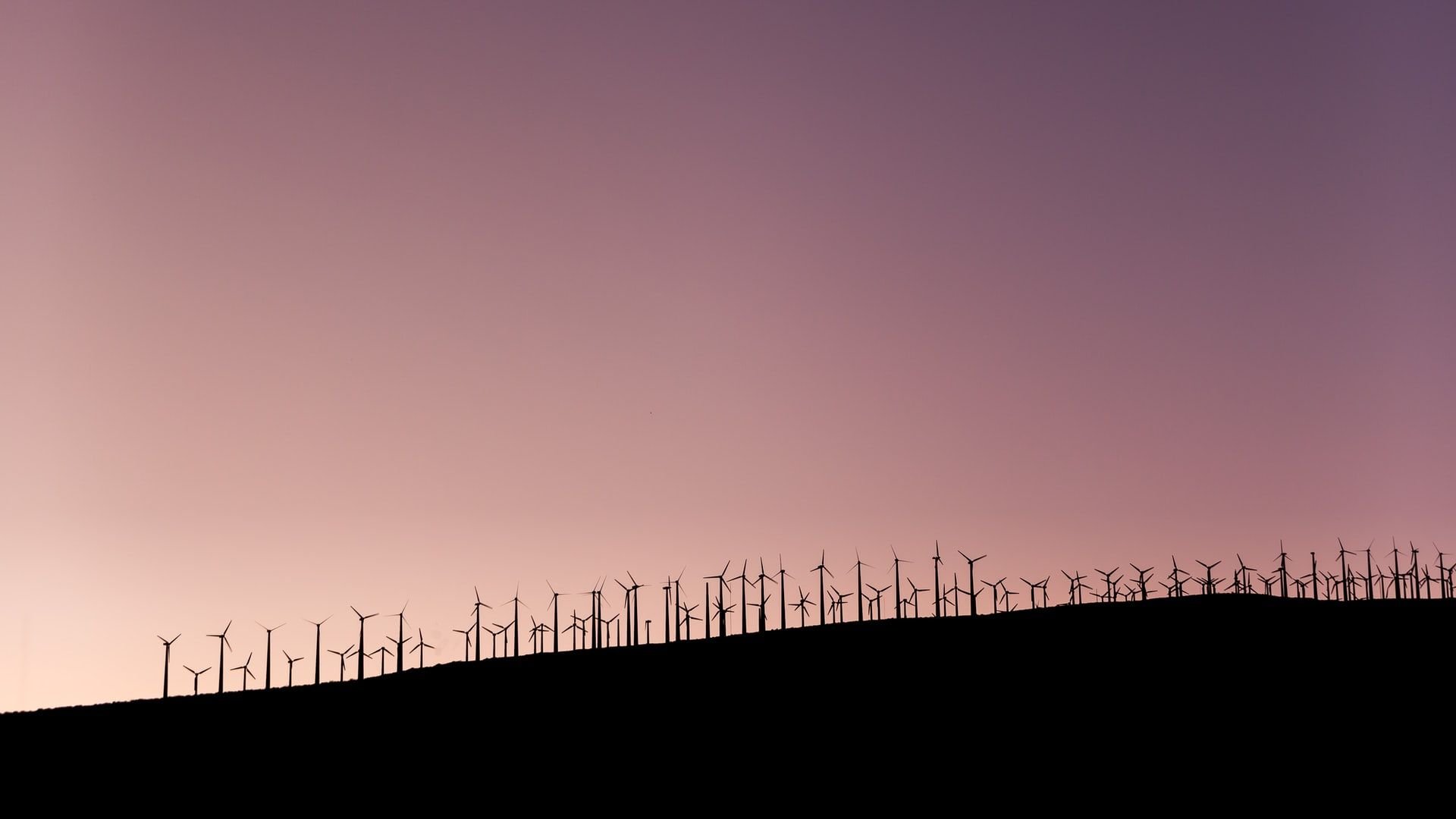 Transformacja energetyczna w Niemczech przyspiesza