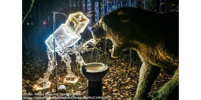 Rusza konkurs na najpiękniejsze iluminacje świąteczne Świeć się z Energą