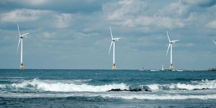 Fabryka wież dla morskich elektrowni wiatrowych