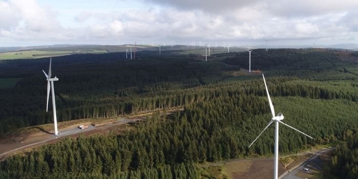 Trzy nowe farmy wiatrowe na Bałtyku?