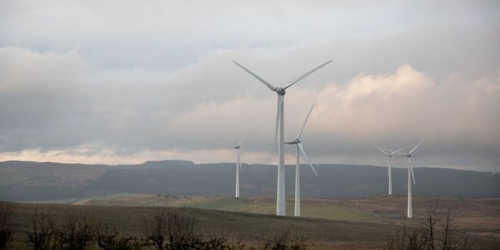 ZE PAK kupił projekt farmy wiatrowej