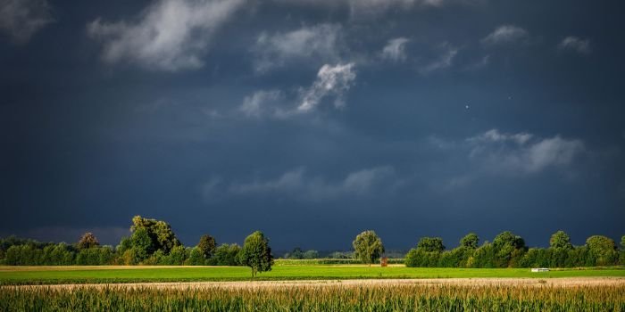 Awaria prądu? Niekoniecznie, bo energetycy będą gotowi na każdą pogodę