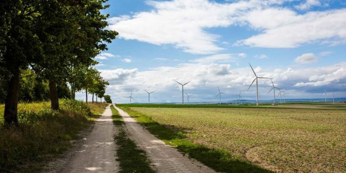 RWE zbuduje farmę wiatrową w Żninie