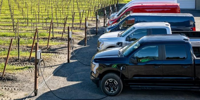 Ford ogranicza produkcję aut elektrycznych i rezygnuje z produkcji baterii do nich