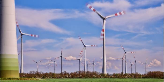 Padł nowy rekord produkcji energii z wiatru