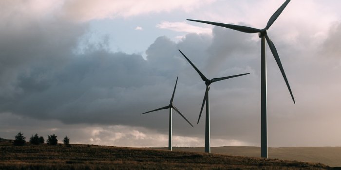 W czasie świąt farmy wiatrowe musiały zmniejszyć produkcję prądu
