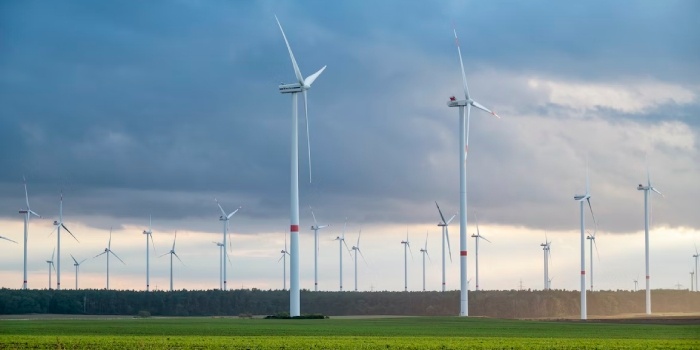 Niemcy: rekordowy udział OZE w produkcji energii elektrycznej
