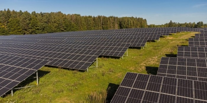 Sklepy Leroy Merlin będą zasilane energią z elektrowni słonecznej