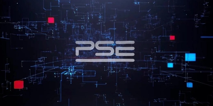 PSE zaprezentowały strategię rozwoju do 2040 roku