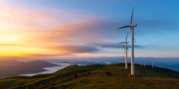 Spółka Enefit Green wybuduje w Polsce osiem farm wiatrowych