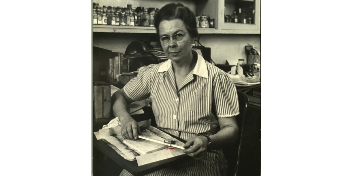 Edith Clarke