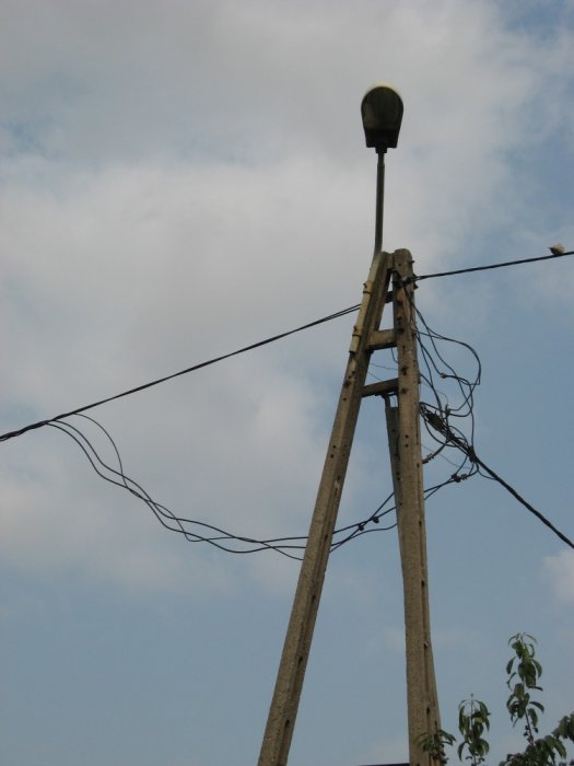 Pajęczyna elektryczna – „wzór” do naśladowania