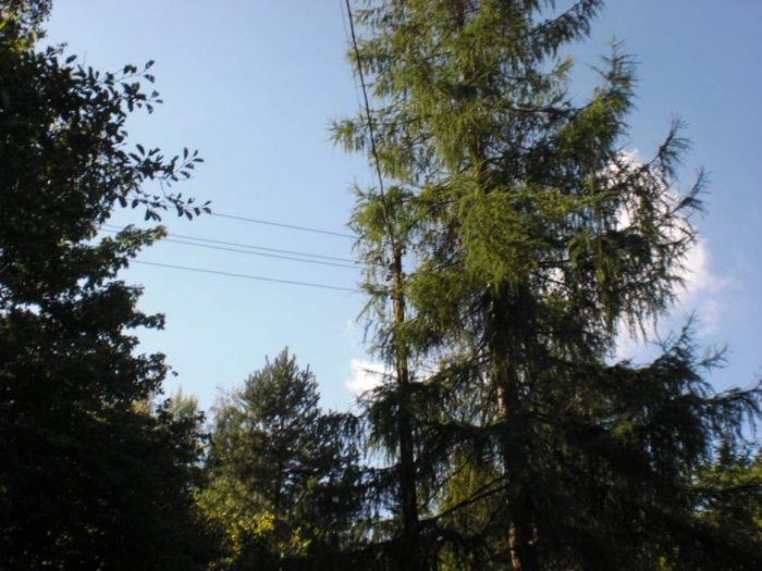 Błędy w instalacjach elektrycznych