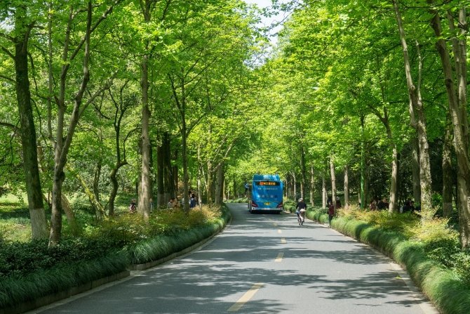 Radom zakupi 10 autobusów elektrycznych
Fot. pixabay.com