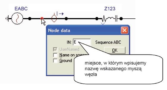 Rys. 11 Definiowanie nazwy węzła nr 1