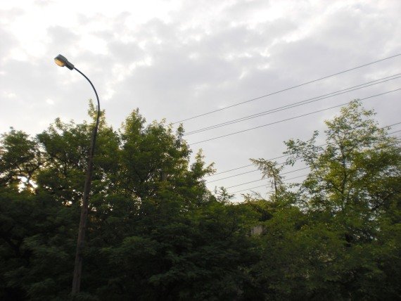 Co zrobi właściciel, gdy dojdzie do tragedii?