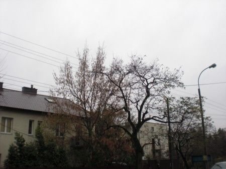 Tak zarząd dróg miejskich dba o bezpieczeństwo