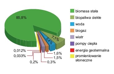 Rys. 4.  
Bilans nośników energii odnawialnej w Polsce w 2009 roku