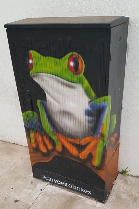 Elektroenergetyka w sztuce: obudowy elektryczne i street-art. Miejsce: Carvoeiro, Portugalia.