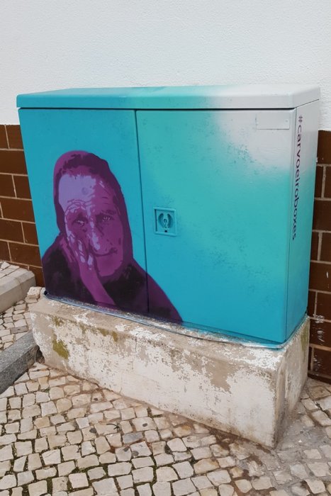Elektroenergetyka w sztuce: obudowy elektryczne i street-art. Miejsce: Carvoeiro, Portugalia.