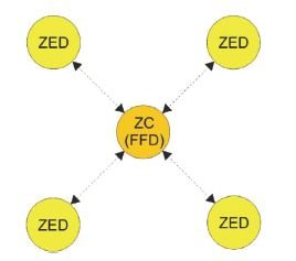 Rys. 1. Sieć ZigBee w topologii
gwiazdy