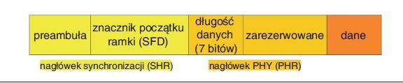 Rys. 5. Struktura jednostki danych w warstwie PHY