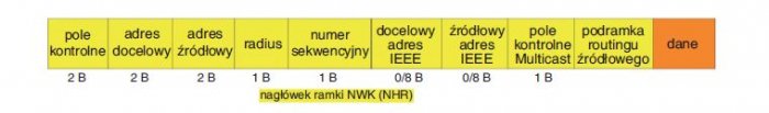 Rys. 8.  
Struktura jednostki danych warstwy sieciowej