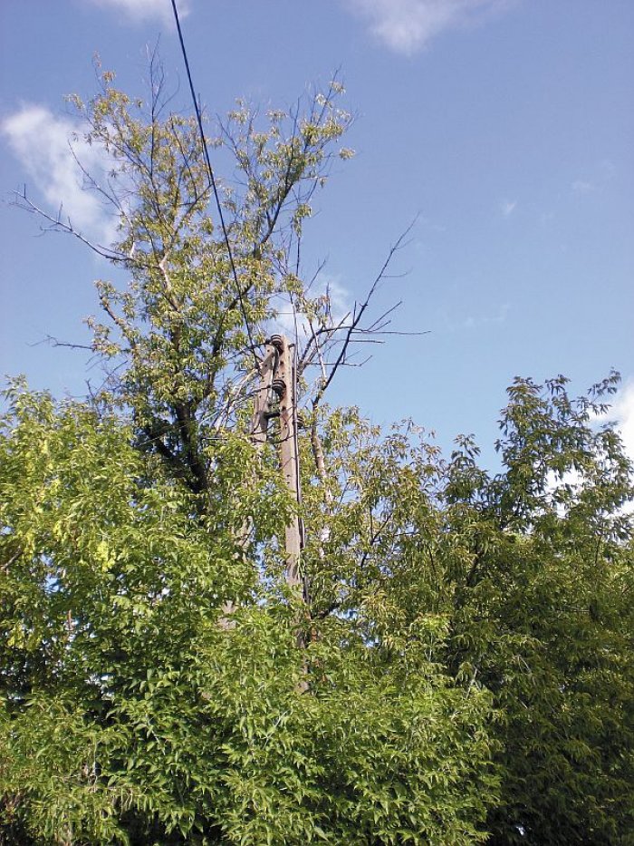 b elektryczne niechlujstwo fot07