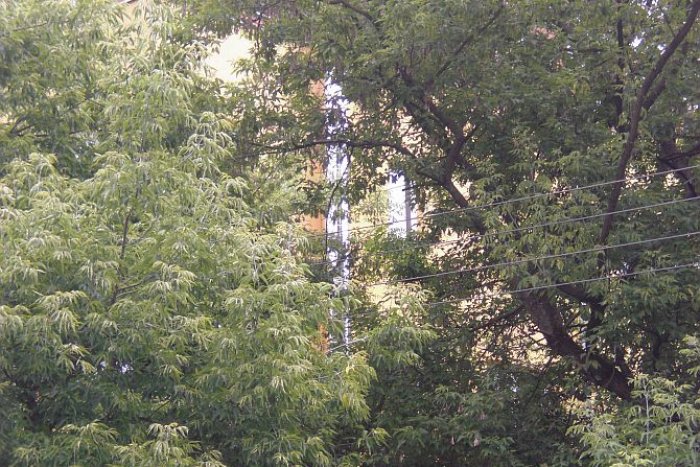 b elektryczne niechlujstwo fot09