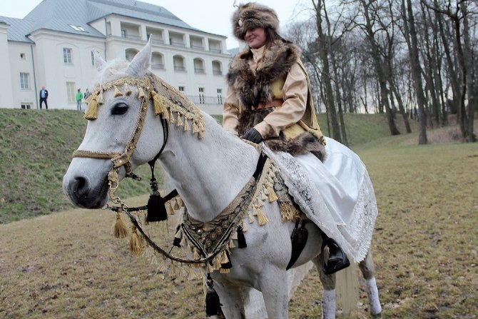 Pokaz koni arabskich w strojach tradycyjnych