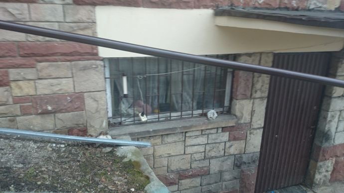 krata elektryczna dsc 0219 2