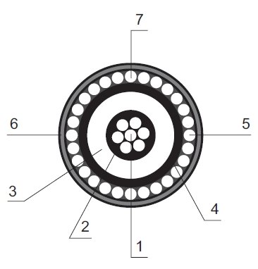 rys 1 18