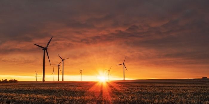 Według Ministerstwa Klimatu Polska już niedługo będzie placem budowy dla OZE, fot. unsplash.com