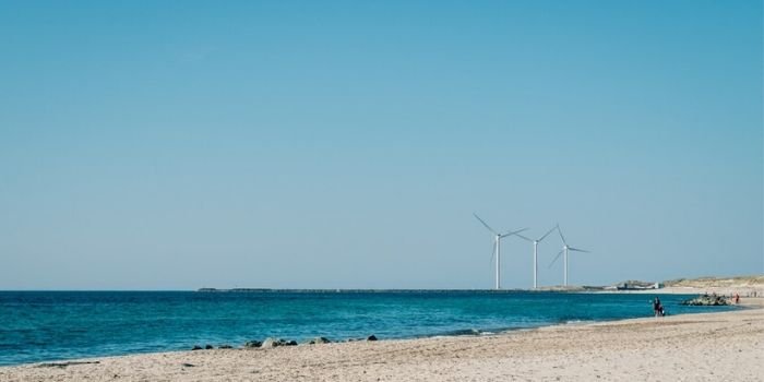 PGE z pozwoleniem środowiskowym dla morskich farm wiatrowych, fot. unsplash.com