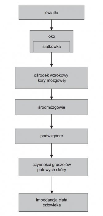 rys 1 schemat oddzialywania na czlowieka bodzcow swietlnych powodujacych zmiany impedancji jego ciala 1