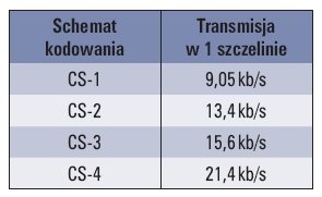 Tab. 1. Schematy kodowania FEC w sieci GPRS
