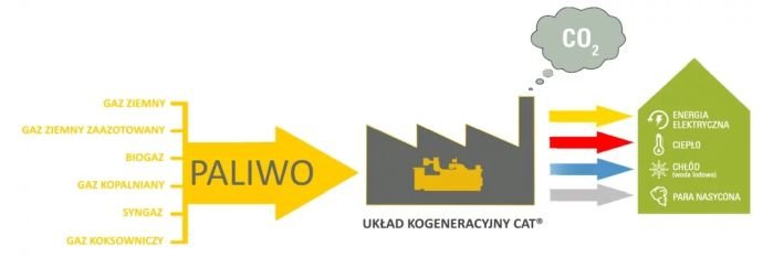eneria wykres