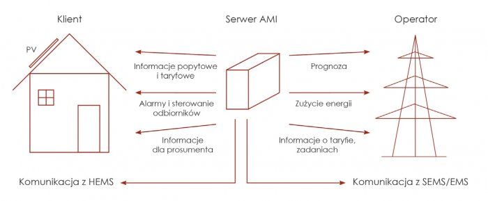 zadania serwera ami rys1 zadania serwera ami rys1