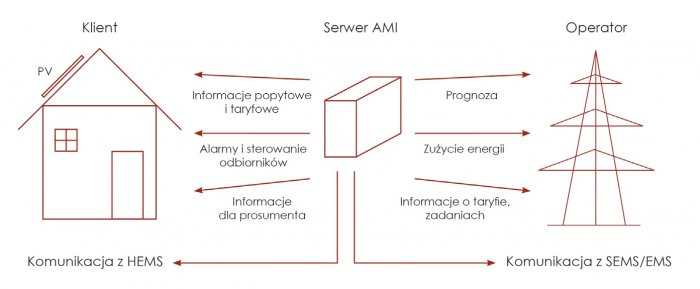 zadania serwera ami rys1